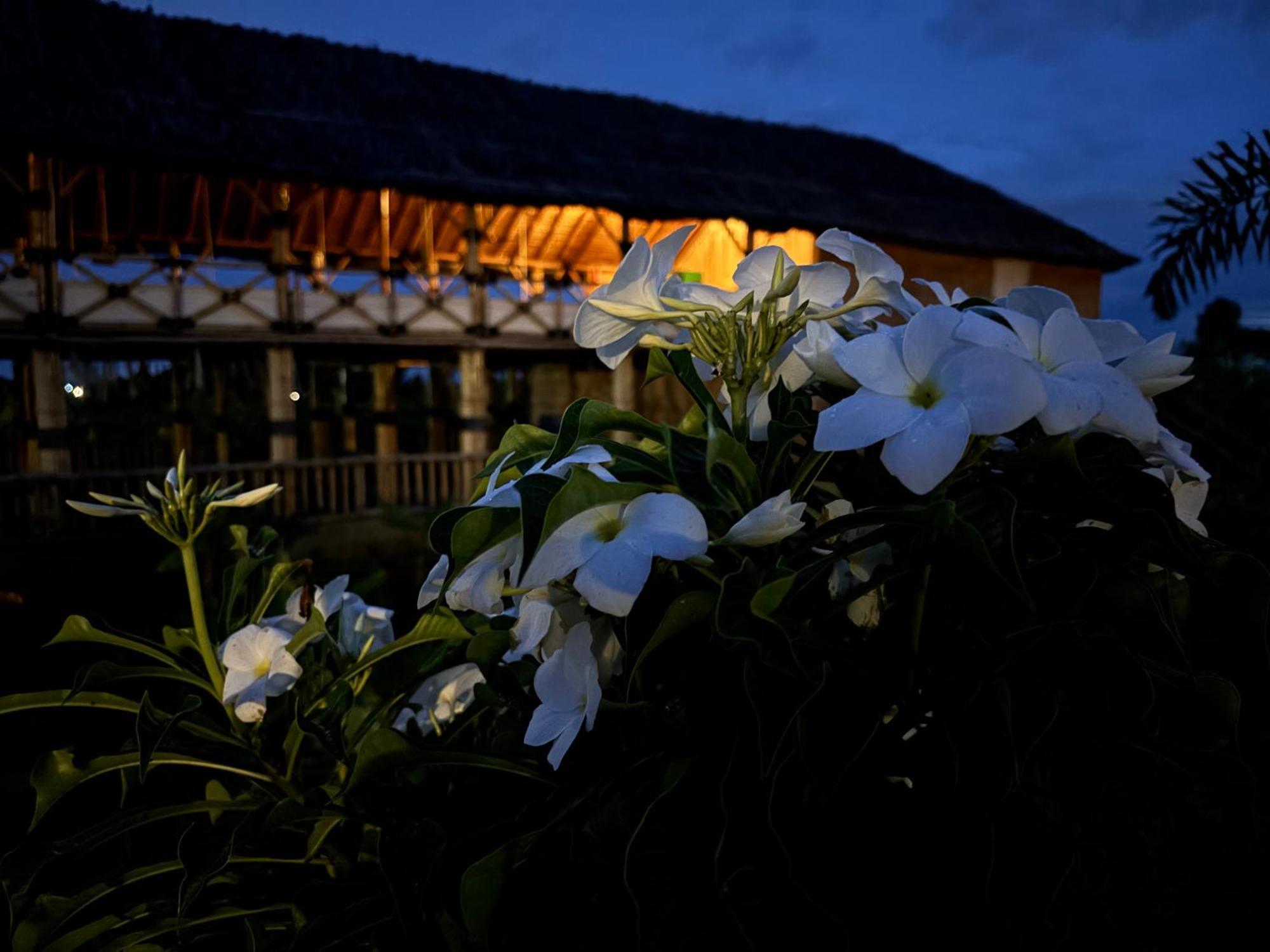Mowgli'S Cafe Hampi & Guest House Esterno foto